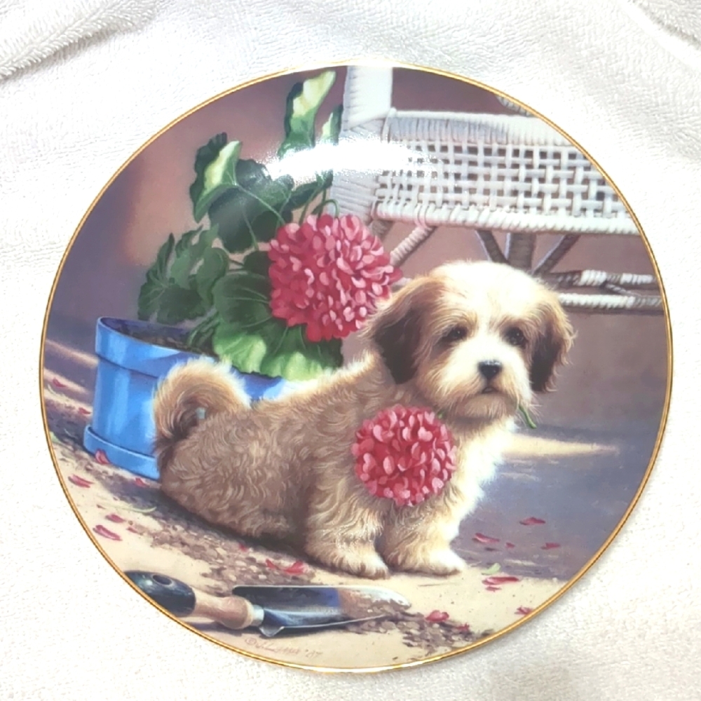 Weekend Gardener Vintage 1987 Jim Lamb Shih Tzu